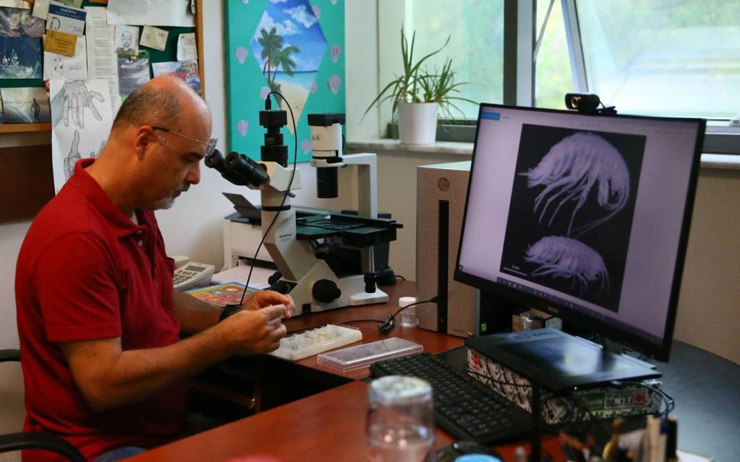 Dünyada ilk kez: Yeni sualtı canlısı türü, Türkiye'nin en derin üçüncü mağarasında keşfedildi! Türk bilim insanlarının başarısı 13